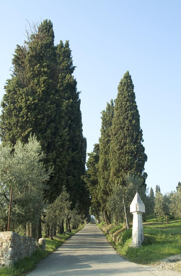 SeanoTenuta Di Capezzana住宿加早餐旅馆 外观 照片